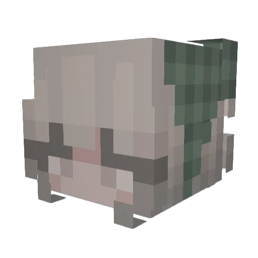 Tarvaq Minecraft avatar head, 3D render