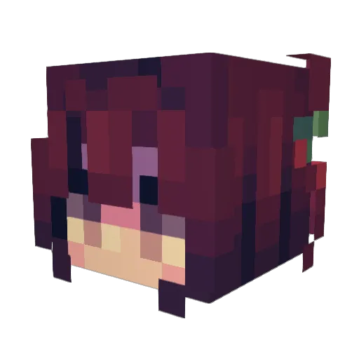 Tarvifista Minecraft avatar head, 3D render