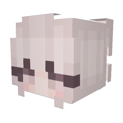 Tary__0 Minecraft avatar head, 3D render