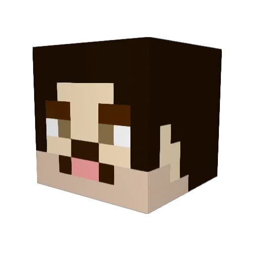 Tarymin Minecraft avatar head, 3D render