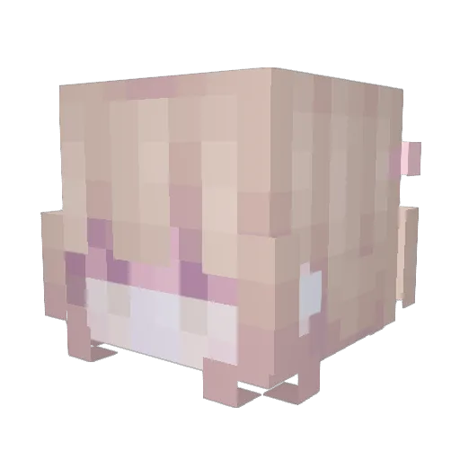 TarynTulip Minecraft avatar head, 3D render