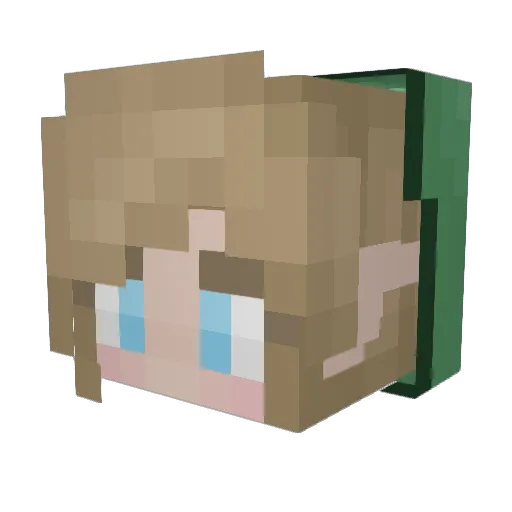 Taryn_St0rm Minecraft avatar head, 3D render