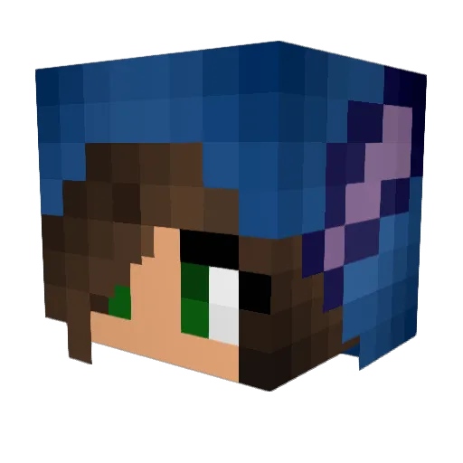 Tas7545 Minecraft avatar head, 3D render