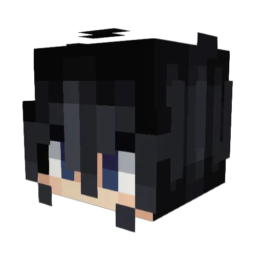TasZebraCz Minecraft avatar head, 3D render