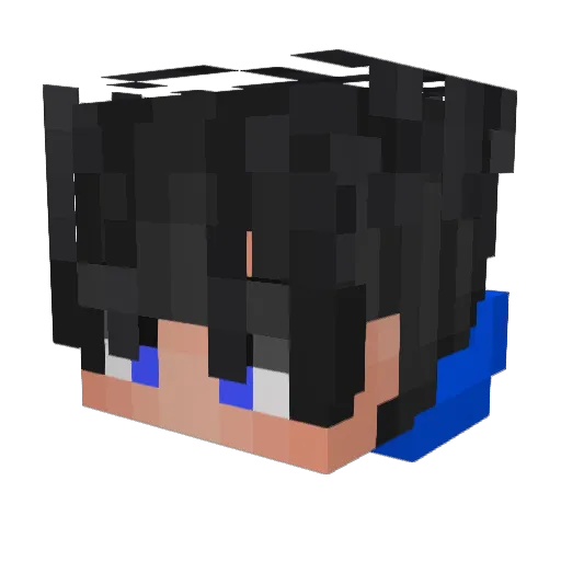 Tas_Star Minecraft avatar head, 3D render