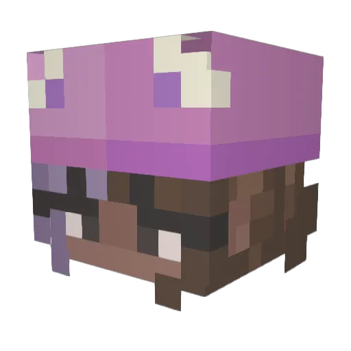 Tasanotfound Minecraft avatar head, 3D render