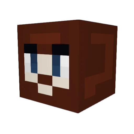 Tascer123 Minecraft avatar head, 3D render