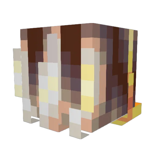 Taschenbrot_ Minecraft avatar head, 3D render