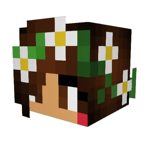 TashAbz Minecraft avatar head, 3D render
