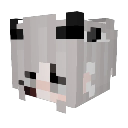 TashNerd Minecraft avatar head, 3D render