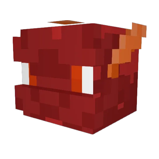 TashRikil0 Minecraft avatar head, 3D render