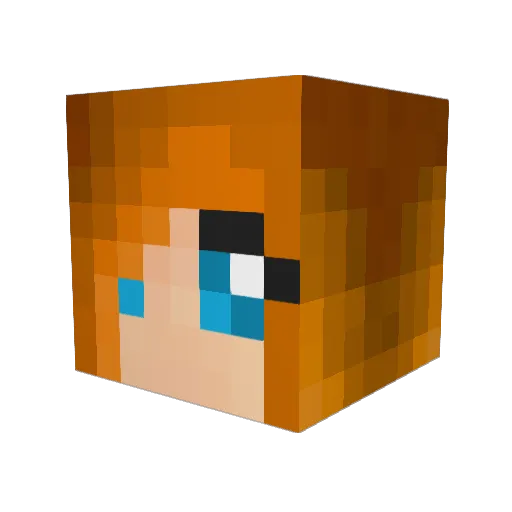 TashaMush Minecraft avatar head, 3D render