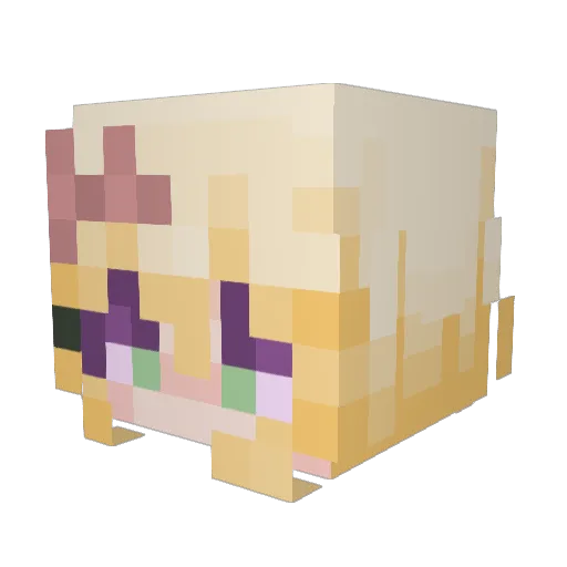 TashaTheCute Minecraft avatar head, 3D render