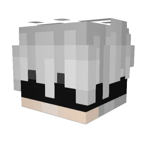 Tashaan7 Minecraft avatar head, 3D render