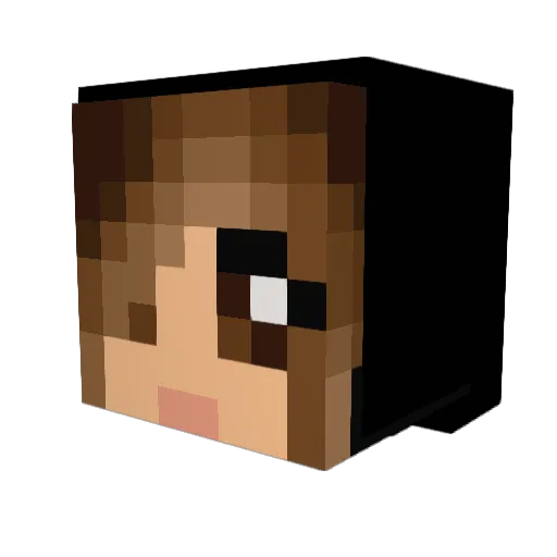 Tashida Minecraft avatar head, 3D render