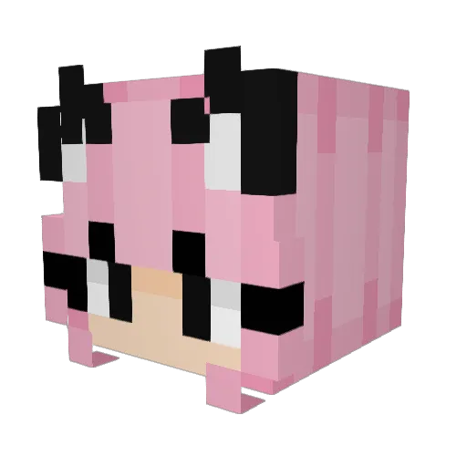Tashiecat_ Minecraft avatar head, 3D render