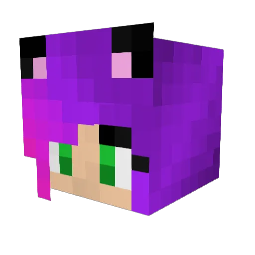 Tashyboo2 Minecraft avatar head, 3D render