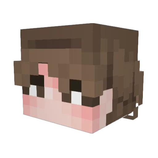 TasiusKenways Minecraft avatar head, 3D render