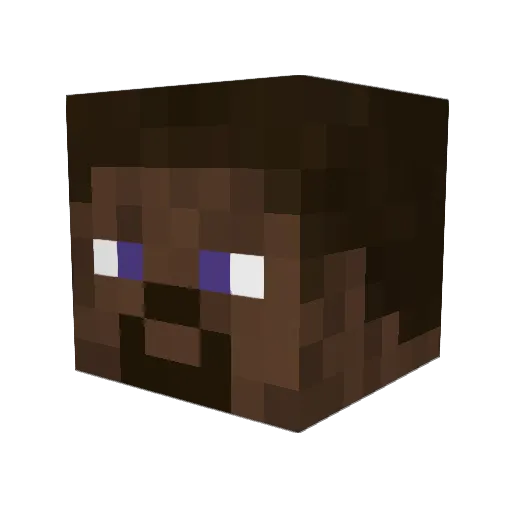 Tasolo Minecraft avatar head, 3D render