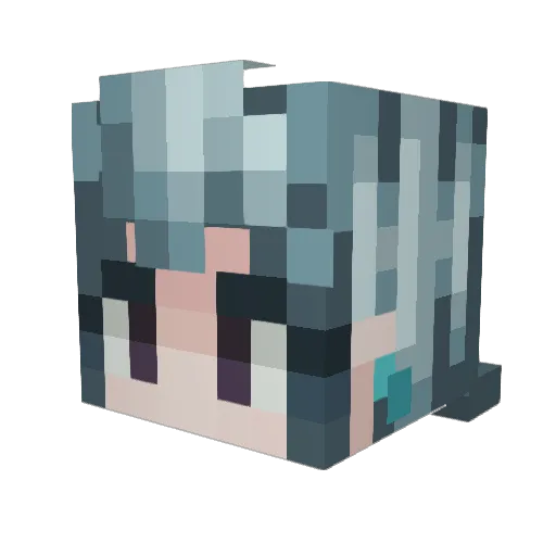 Tasrgus Minecraft avatar head, 3D render