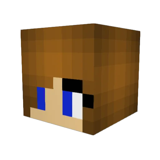 Tassaboo24 Minecraft avatar head, 3D render