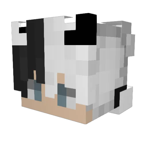TastefulPsycho Minecraft avatar head, 3D render