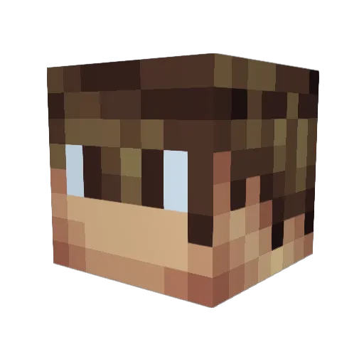 TastelessCookie Minecraft avatar head, 3D render