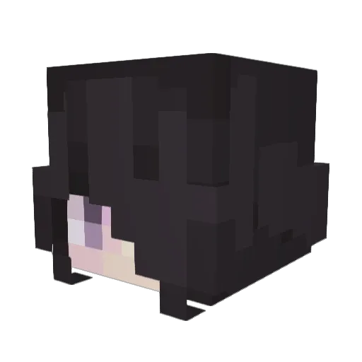 TastelessInk Minecraft avatar head, 3D render