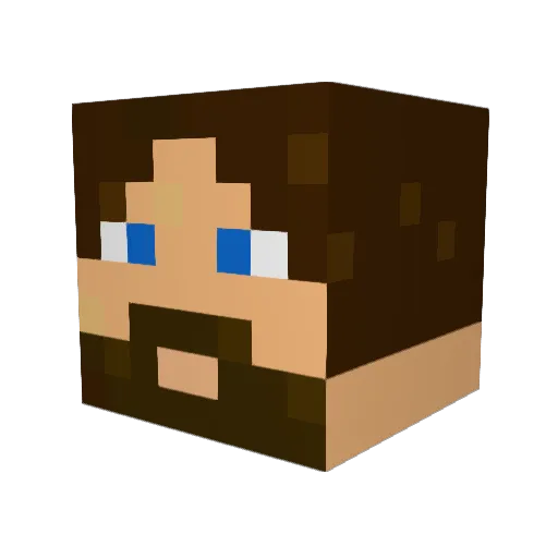 Tasty2Cities Minecraft avatar head, 3D render