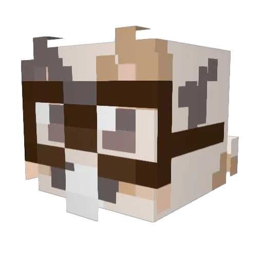 TastyBreadCrumbs Minecraft avatar head, 3D render