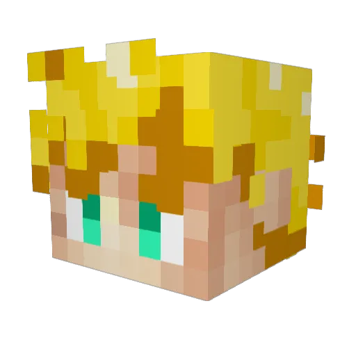TastyTaco2621 Minecraft avatar head, 3D render