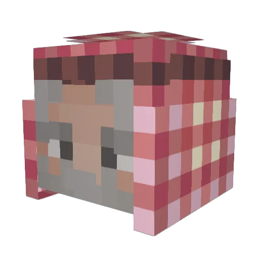 Tasty_Macaron Minecraft avatar head, 3D render