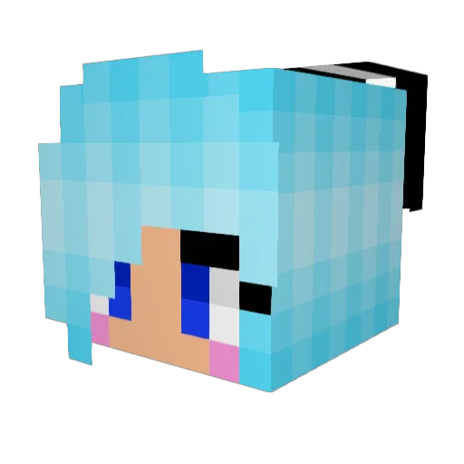Tat232 Minecraft avatar head, 3D render
