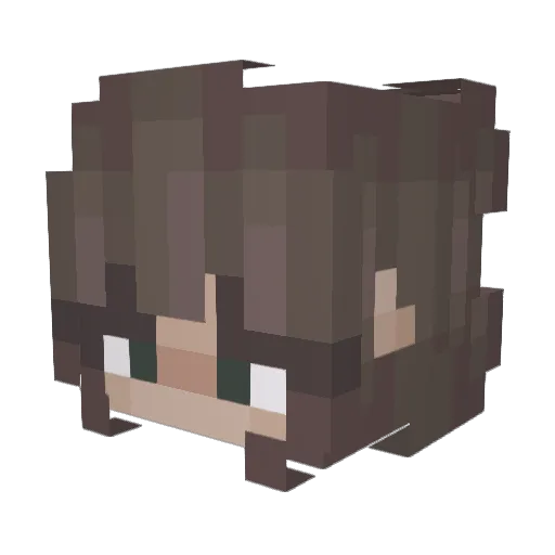 Tat3rT0ts Minecraft avatar head, 3D render