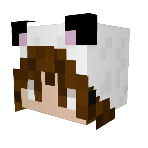 Tatashik Minecraft avatar head, 3D render