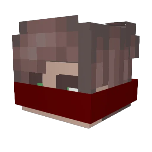 Tate091 Minecraft avatar head, 3D render