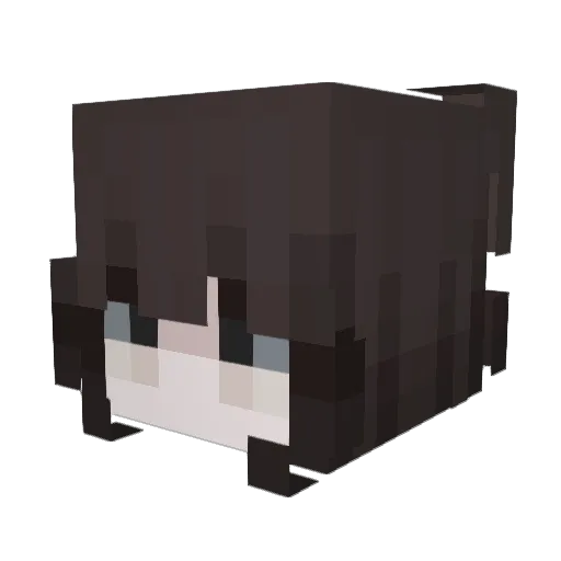 TateBrothrs Minecraft avatar head, 3D render