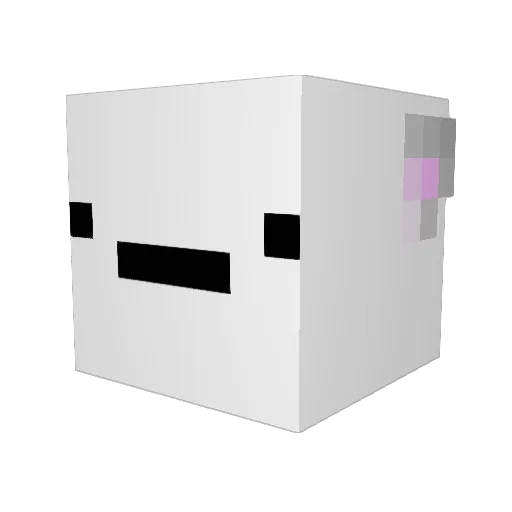 Tatematsuru Minecraft avatar head, 3D render