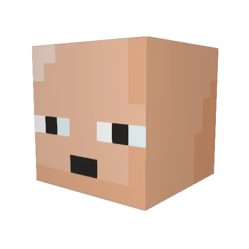 Tateo_ Minecraft avatar head, 3D render
