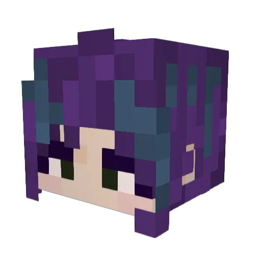 TaterTotHTDsh Minecraft avatar head, 3D render