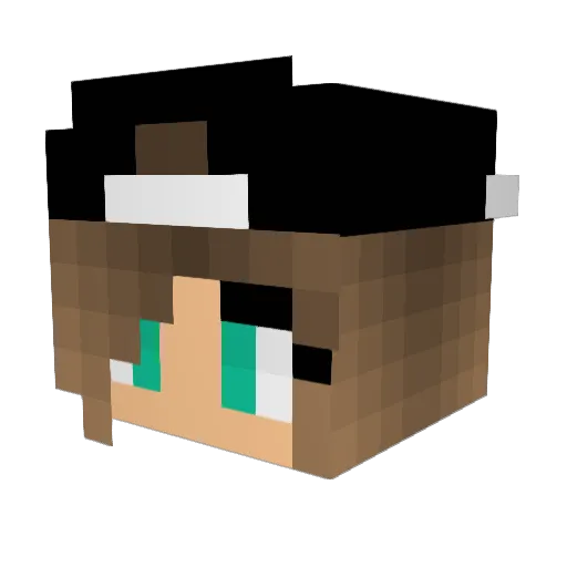 TaterTot_016 Minecraft avatar head, 3D render