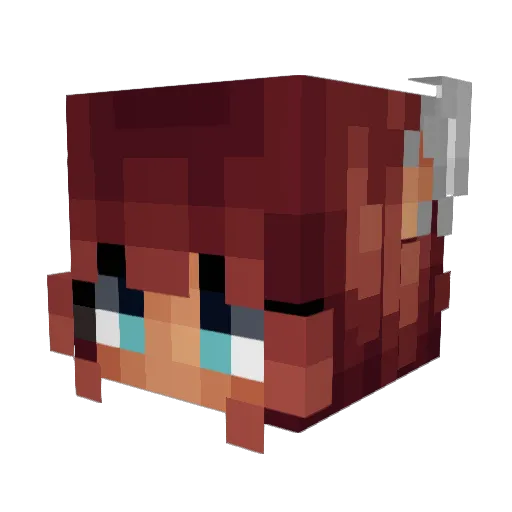 Taterchip86 Minecraft avatar head, 3D render