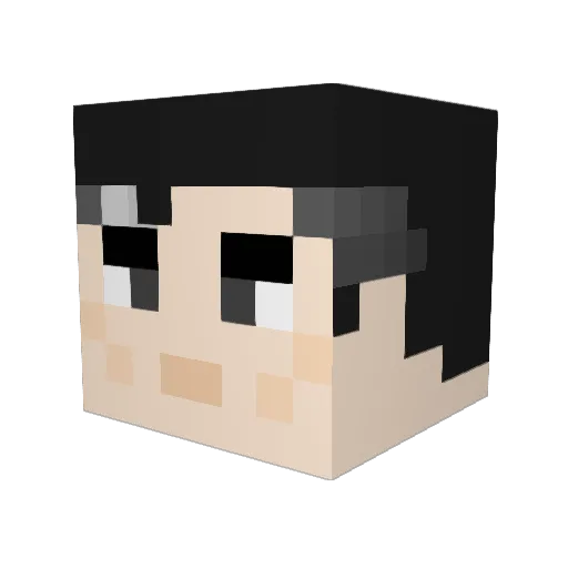 Tatertots210 Minecraft avatar head, 3D render