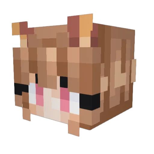 Tati420 Minecraft avatar head, 3D render