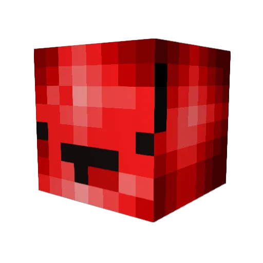 Tato0555 Minecraft avatar head, 3D render