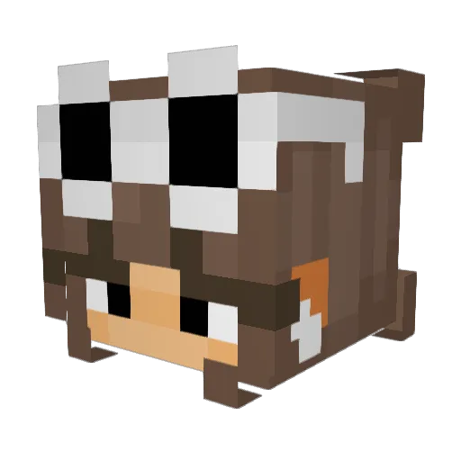 Tatonickity Minecraft avatar head, 3D render