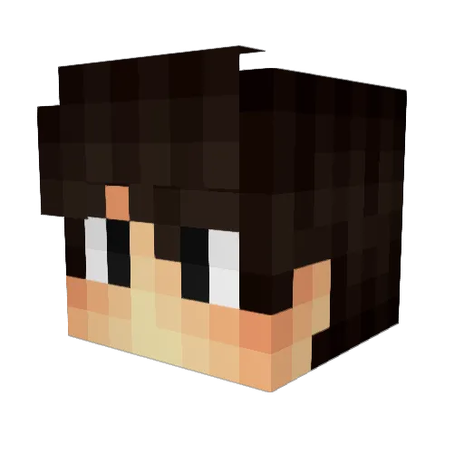 Tatsup1 Minecraft avatar head, 3D render
