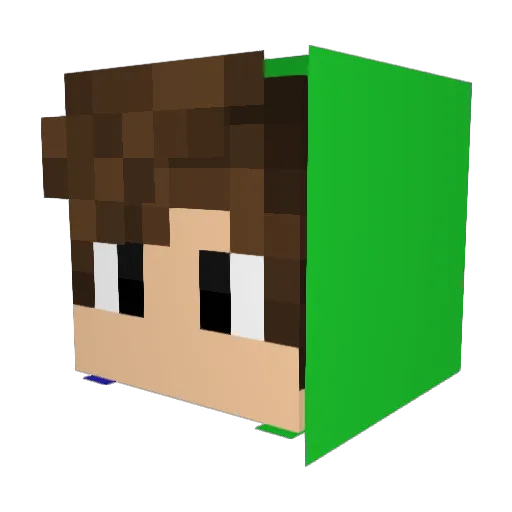 Tatto_ Minecraft avatar head, 3D render