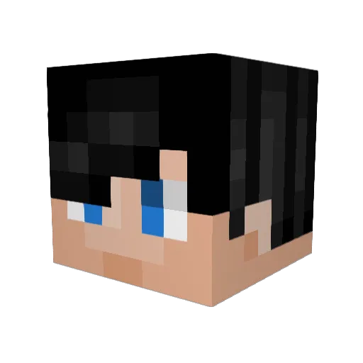 Tatu2005 Minecraft avatar head, 3D render
