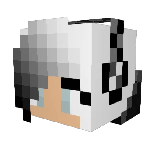 Tatuhfel Minecraft avatar head, 3D render